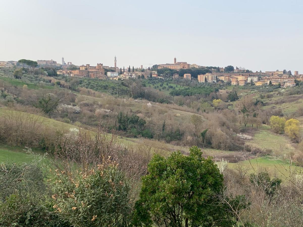Il Vezzosino Siena