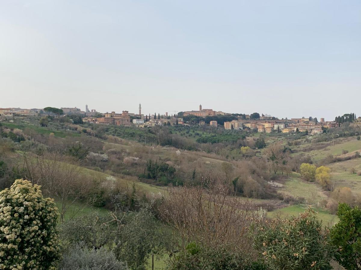 Il Vezzosino * Siena